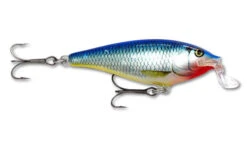 Shallow Shad Rap Blue Shiner 12cm